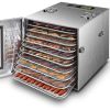 Commercial Large 10 Trays Food Dehydrator, Usable Area up to 17ftÂ², 1000W Detachable Full Stainless Steel Dryer Machine