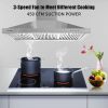 Range Hood 36 Inch;  Wall Mount Vent Hood in Stainless Steel with Ducted/Ductless Convertible Duct;  3 Speed Exhaust Fan;  Energy Saving LED Light;  P